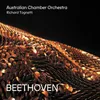 Symphony No. 6 in F Major, Op. 68 "Pastoral": 2. Szene am Bach (Andante molto mosso) Live from City Recital Hall, Sydney, 2011
