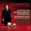 Violin Concerto No. 4 in D Minor, MS 60: II. Adagio Flebile Con Sentimento Live In Australia, 2016