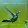 Brandenburg Concerto No. 1 in F Major, BWV 1046: 1. (Allegro)