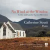 I Heard The Voice Of Jesus Say (Kingsfold) Arr. Catherine Strutt