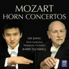 Horn Concerto No. 1 in D for Horn and Orchestra, K.412: 1. Allegro