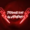 About Promesas Olvidadas Song