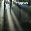 About לברוח מעצמך Song
