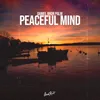 About Peaceful Mind Song