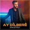 About Ay Dîlberê Song