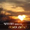 About כשהלב בוכה Song