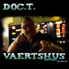 About Vaertshus Demo Version Song