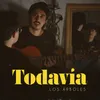 About Todavía Song