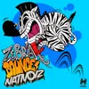 Zebra Bounce Danny T Remix