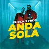 About Anda Sola Song