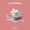 About Not Changing Song