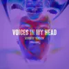 About Voices in My Head Acoustic Song