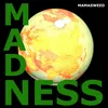 About Madness Song