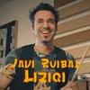 About Liziqi Song