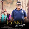 About Pyari Anuye Song