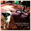 Hello Hello Single Edit