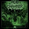 About Acid Chamber Song