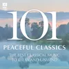 The Well-Tempered Clavier: Prelude in C major, BWV846 Arr. Marshall McGuire