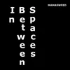 About In Between Spaces Song