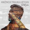 About Amžinoji trauka Lietuva Song