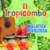 About Mulatica Revoltosa Song