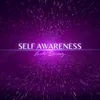 Self Awareness (Farinazfz NYFW 2021 Edit)