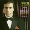 About שרון Song