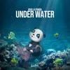 About Under Water Song