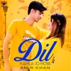 About Dil Kamla Jo Hoya Song