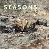 About Seasons Song