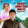 About Kuriey Amritsar Waliye Song