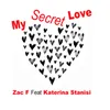 About My Secret Love Song