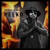 About Pelko Song