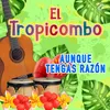 About Aunque Tengas Razón Song