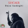 About Shokr Song