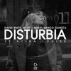 About Disturbia Song