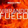 About Vibrando Fuego Song