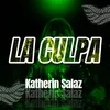 About La Culpa Song