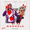 About Wamuhle (feat. Fey M) Song