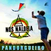 About Pandorgueiro Song