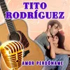 About Amor Perdóname Song