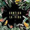 About Contigo la Vida Song