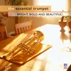 Trumpet Concerto in E-Flat Major, Hob. VIIe/1: 1. Allegro