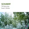 Winterreise, Op. 89, D. 911: 2. Die Wetterfahne