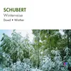 About Winterreise, Op. 89, D. 911: 4. Erstarrung Song