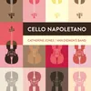 About Cello Concerto in F Major: 3. Largo Song