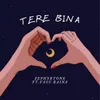 About Tere Bina Song