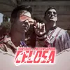 About Celosa Song