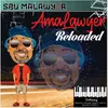 Amalawyer Reloaded