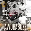 About Awubabuze Song